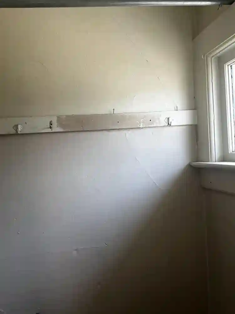 Looking for a roommate