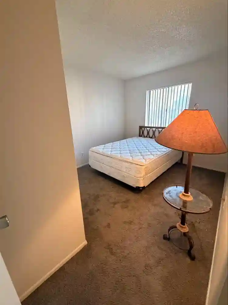 Room available for rent