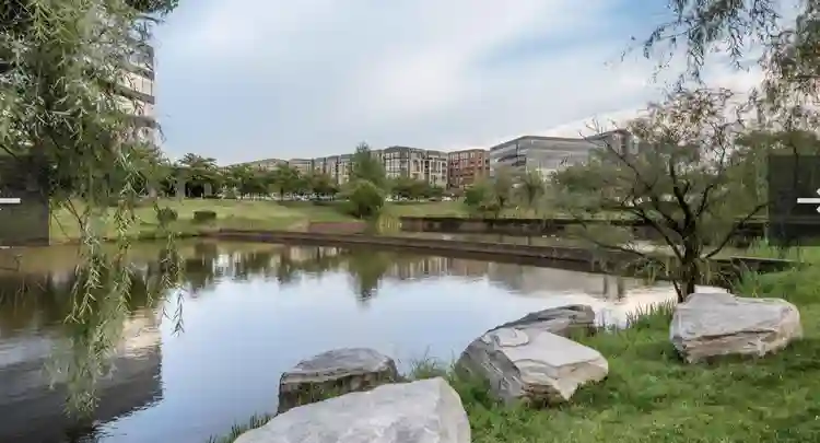 Short-term rental in Reston VA 1bdr