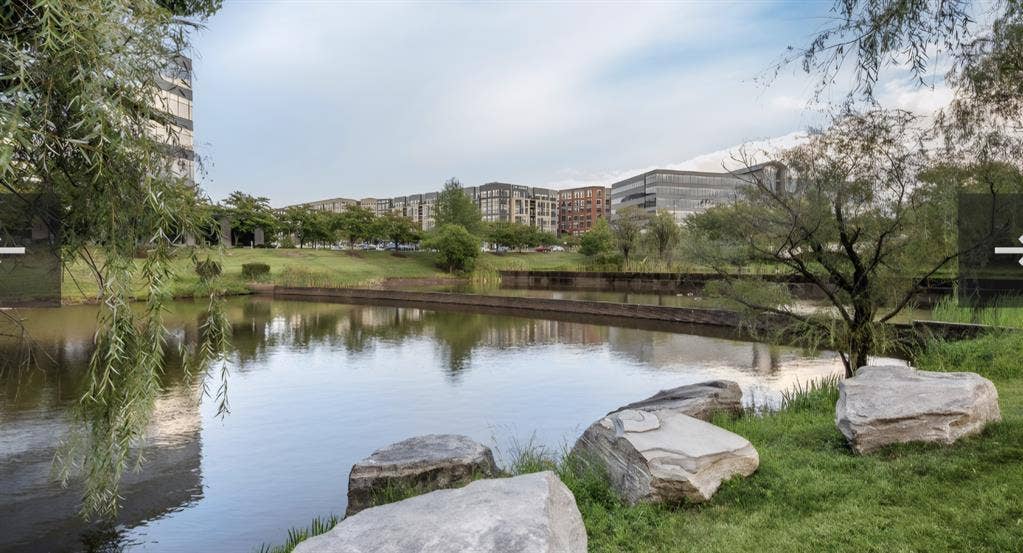 Short term 1bdr apt for rent Reston