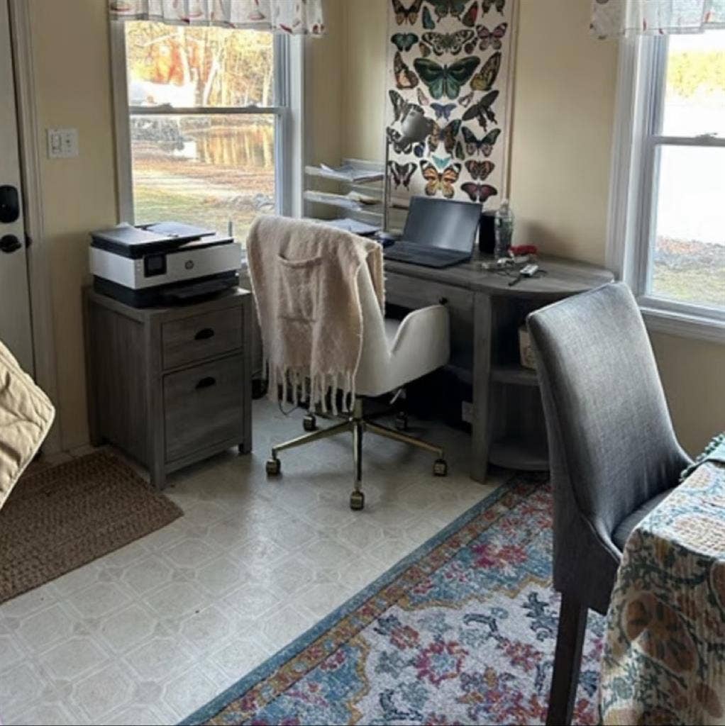 Lakeside Home Needs Chill Roommate
