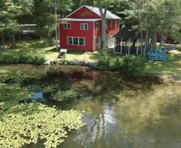 Lakeside Home Needs Chill Roommate