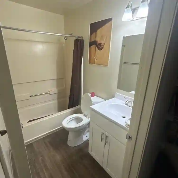1Bd 1 Br