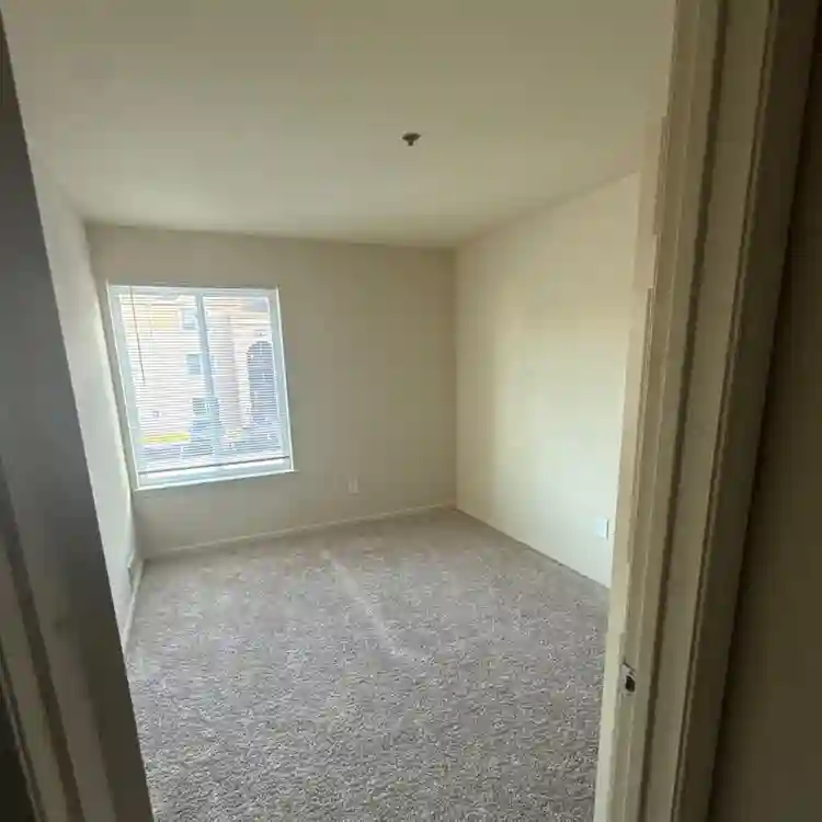 1Bd 1 Br