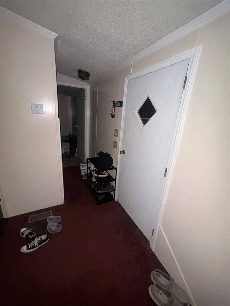 Roommate needed
