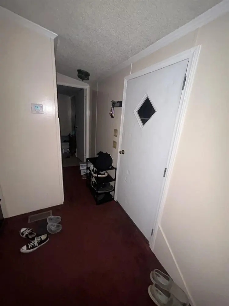 Roommate needed