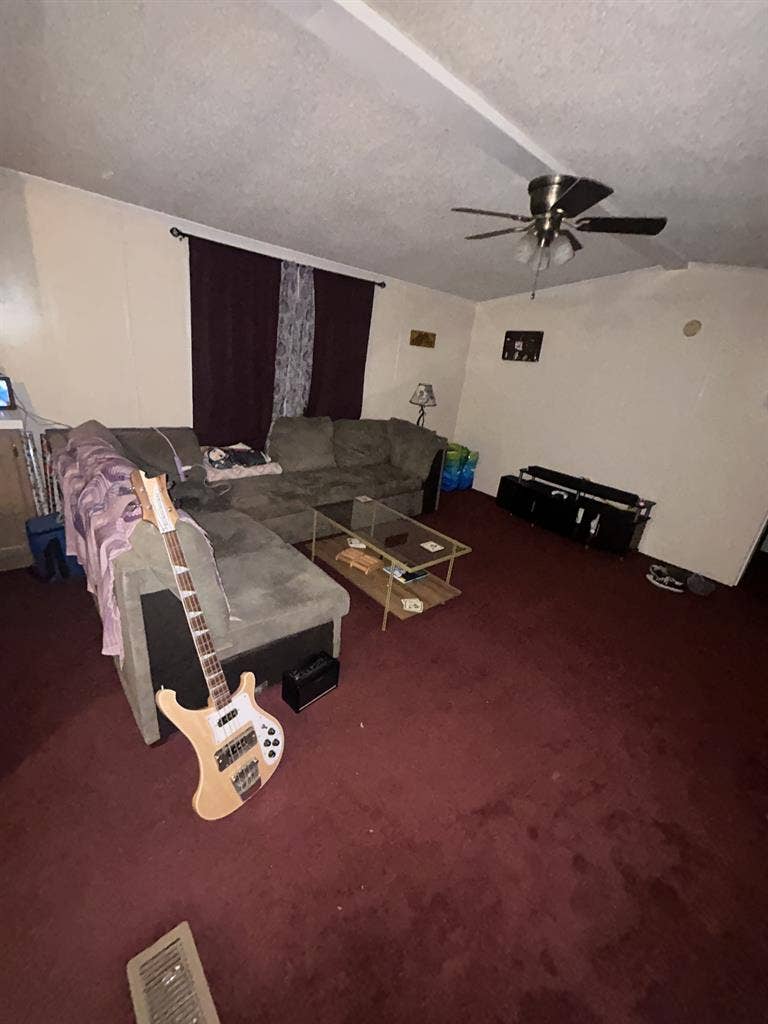 Roommate needed