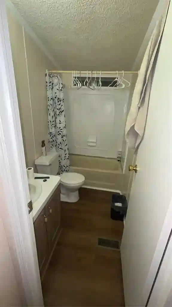 Roommate needed