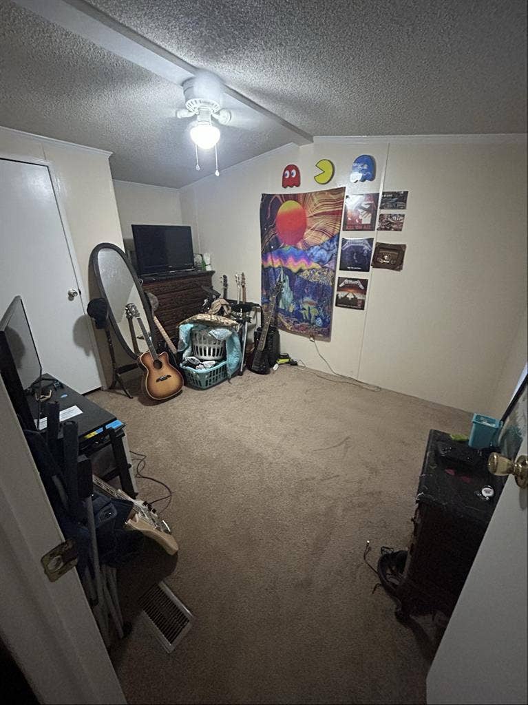 Roommate needed