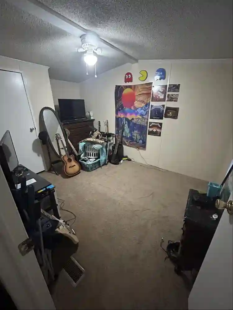 Roommate needed