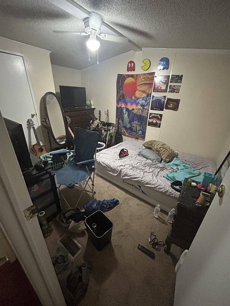 Roommate needed