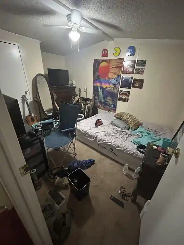 Roommate needed