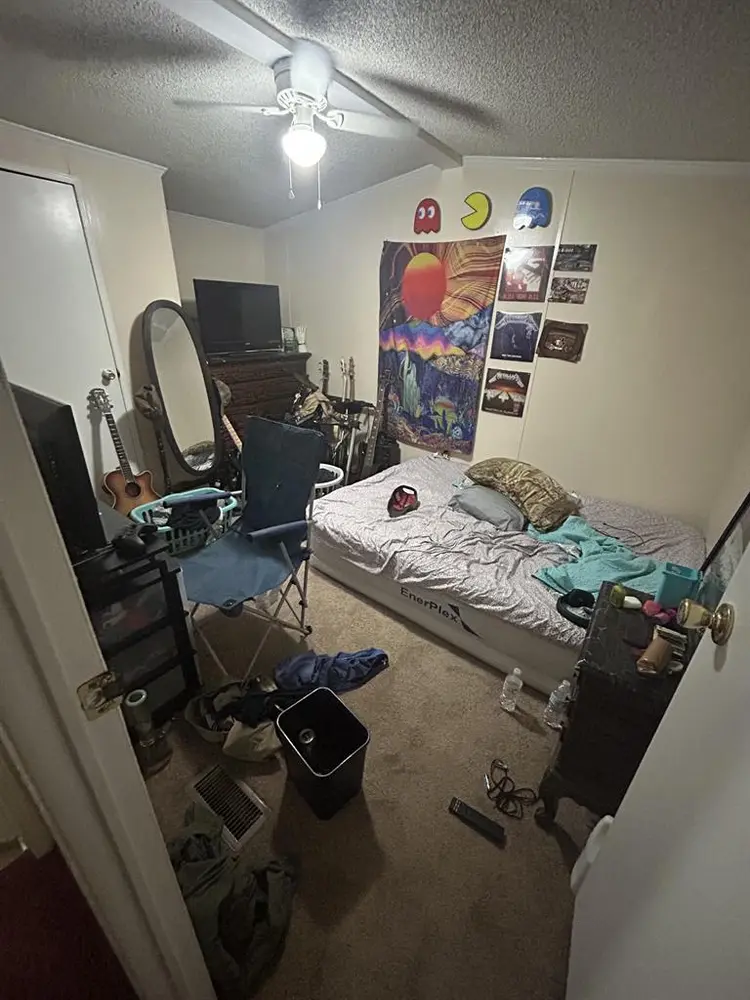 Roommate needed