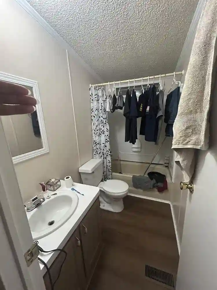 Roommate needed