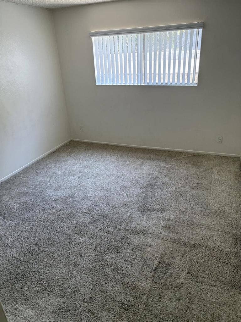 1 Bedroom Available in 4 Bed Apt