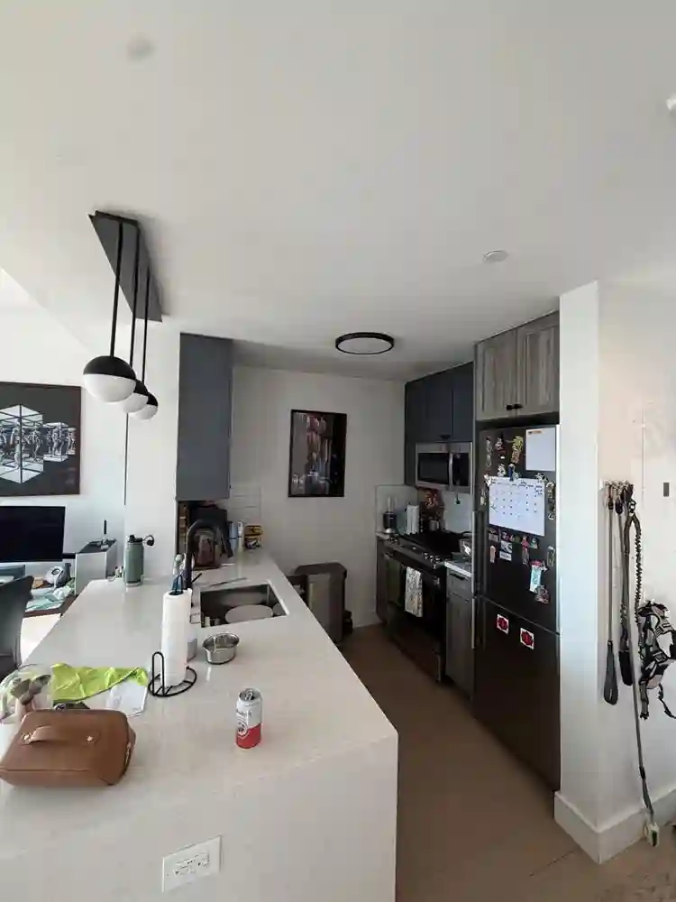 Private Terrace 1BR LIC, Free Month