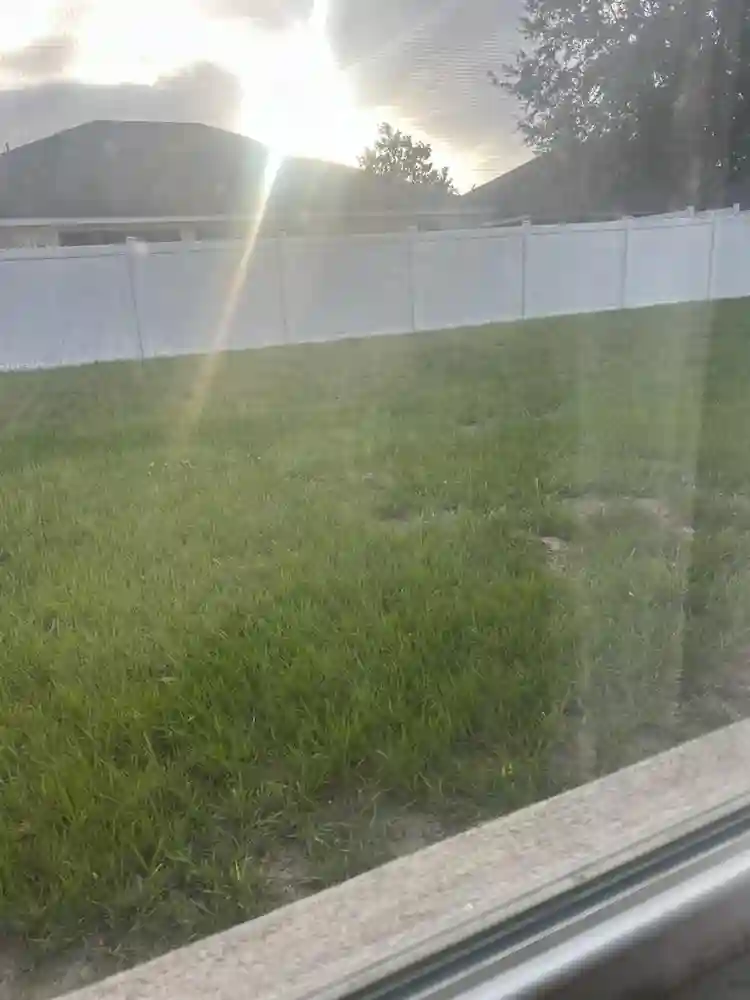 Looking to rent my entire house