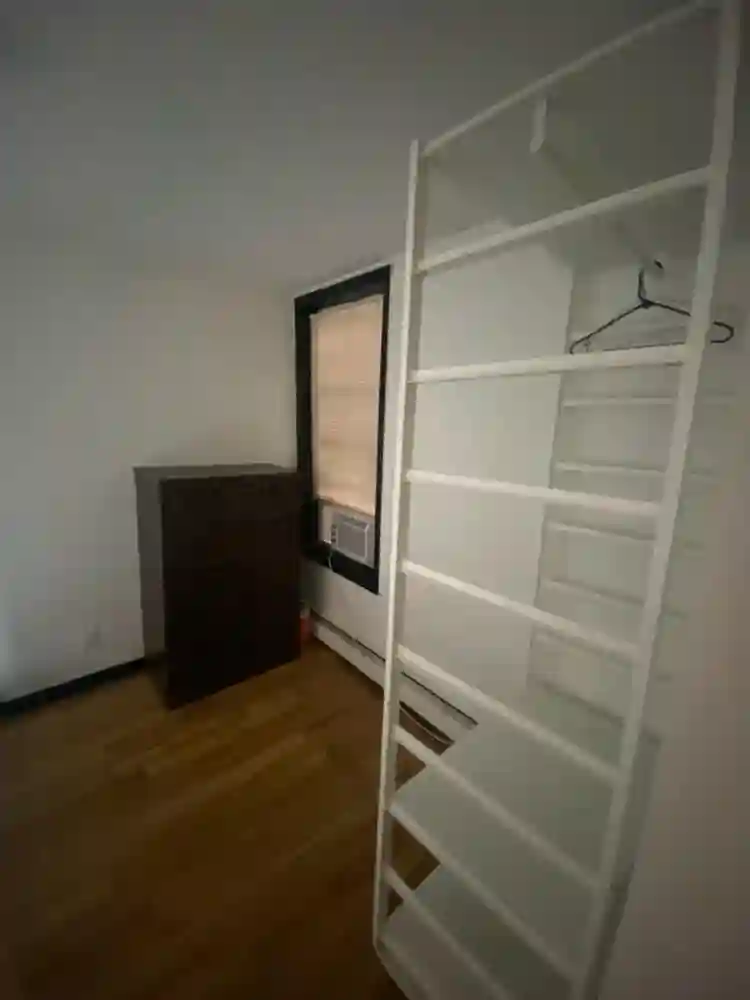 Room in chill artist apartment!