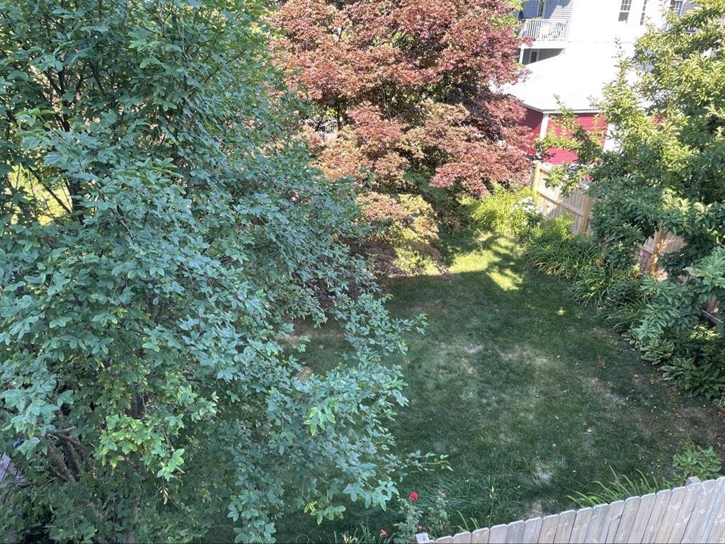 Large sunny apartment to sharee