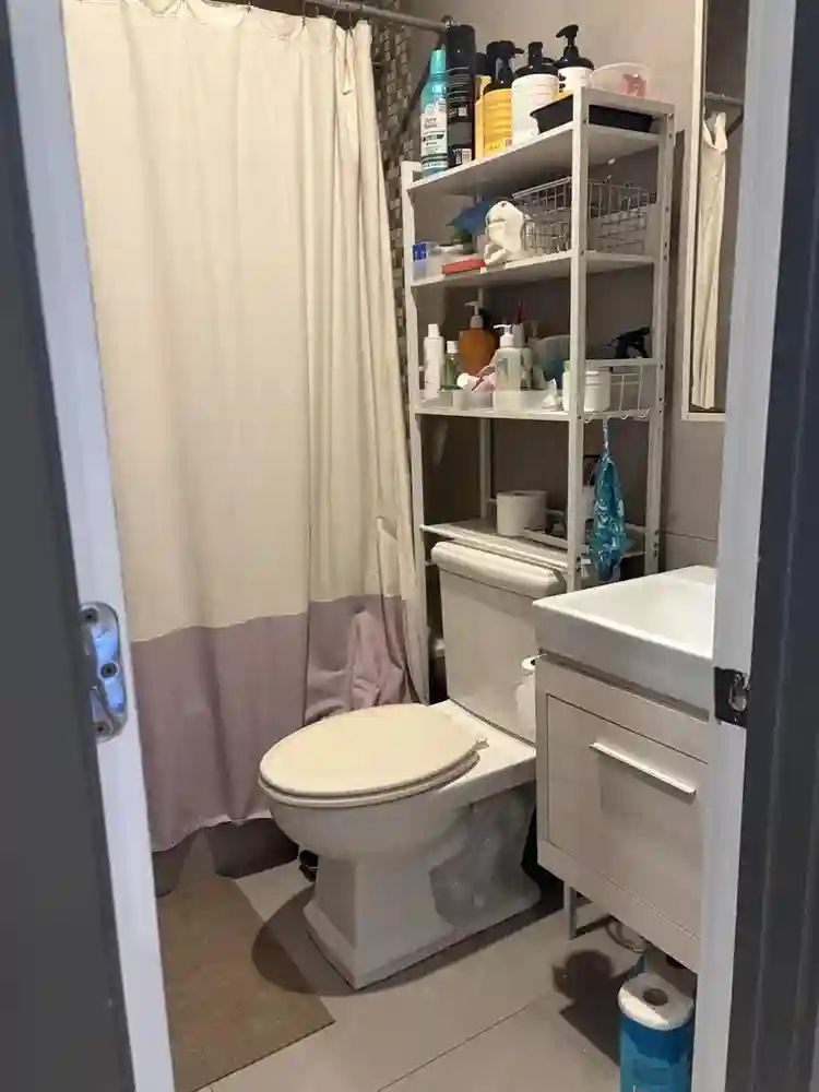 Looking for roommate to join 3bd