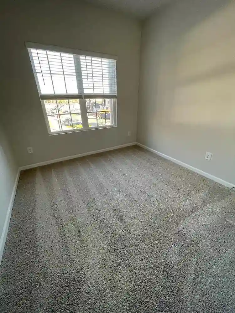 3 BR in Belmont