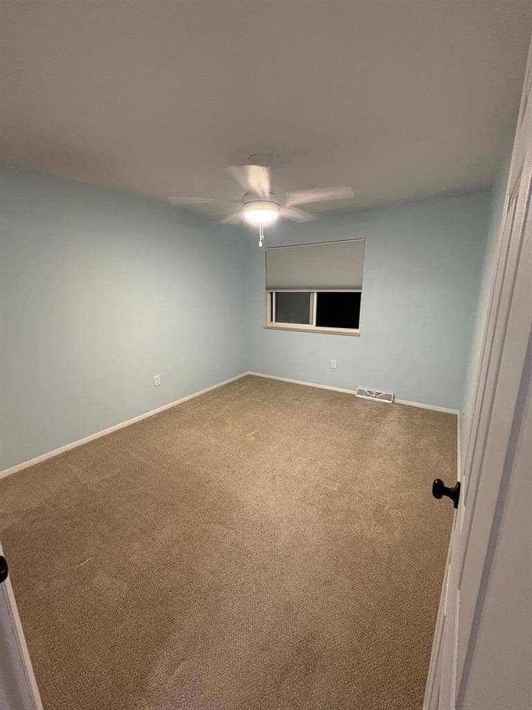 Roommate wanted