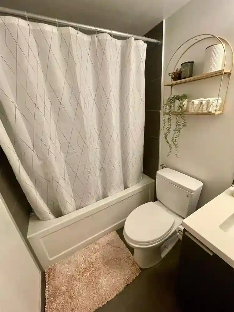 Share 2bedr00m apartment in toronto