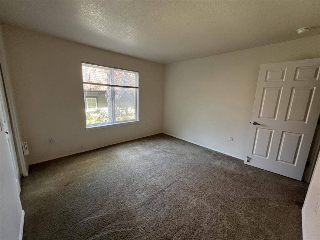 One Room + Private Bath in Tigard