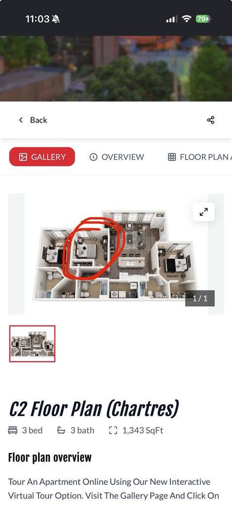 Roommate Wanted