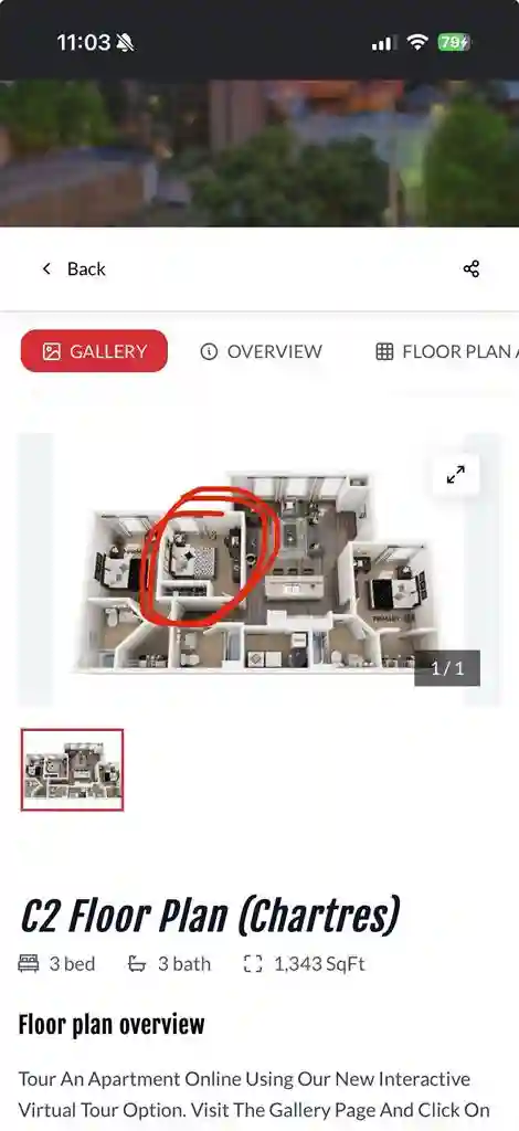 Roommate Wanted