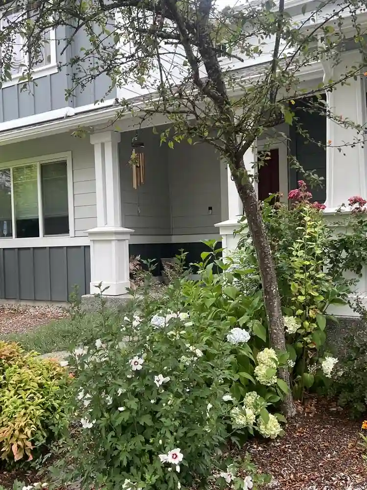 Room for rent in two bedroom home
