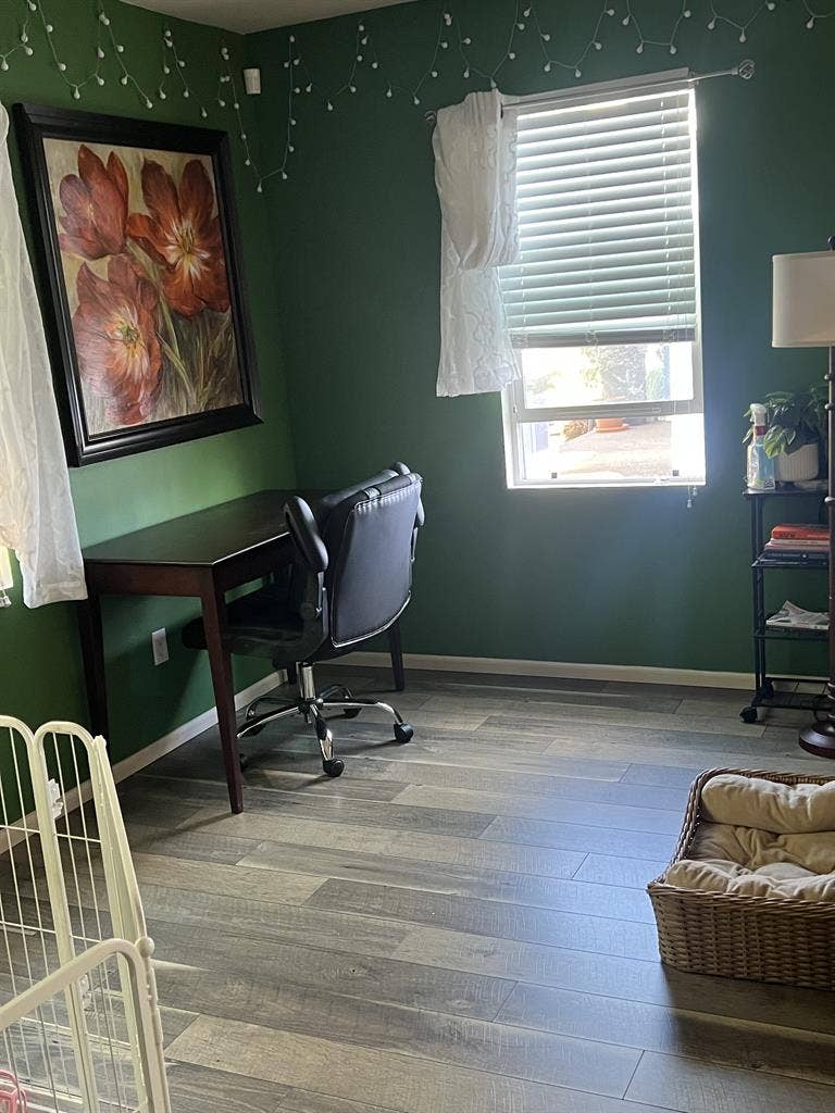 Room for rent in two bedroom home