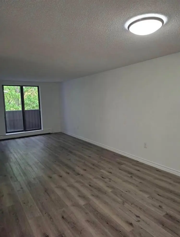 One bedroom apartment