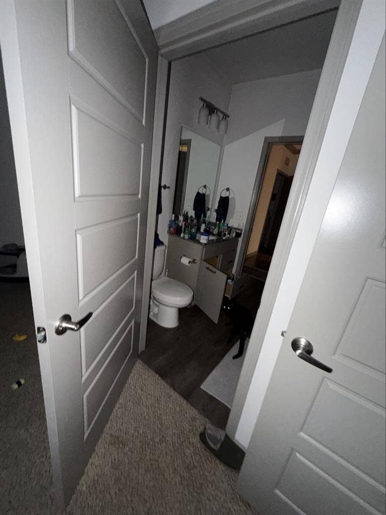 Looking for a Roommate for Jan 2027