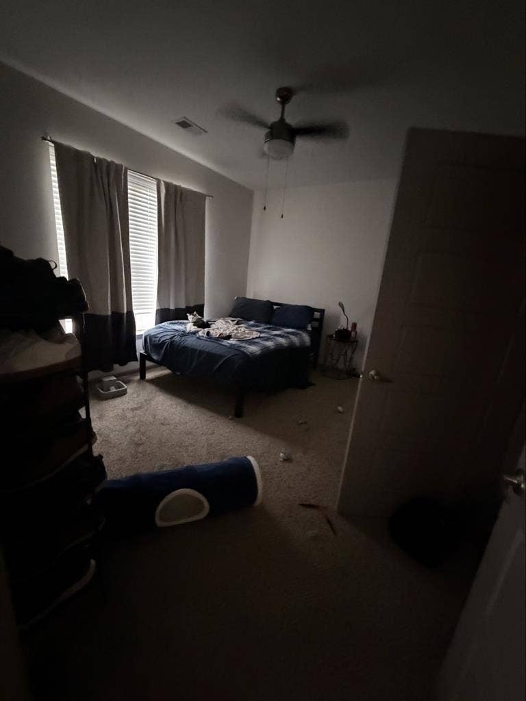 Looking for a Roommate for Jan 2027