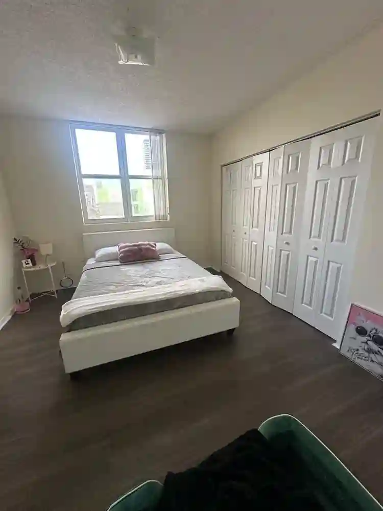 Looking for a female roommate