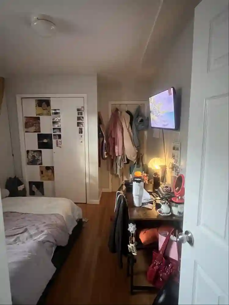 Furnished Room | Briarwood, Queens