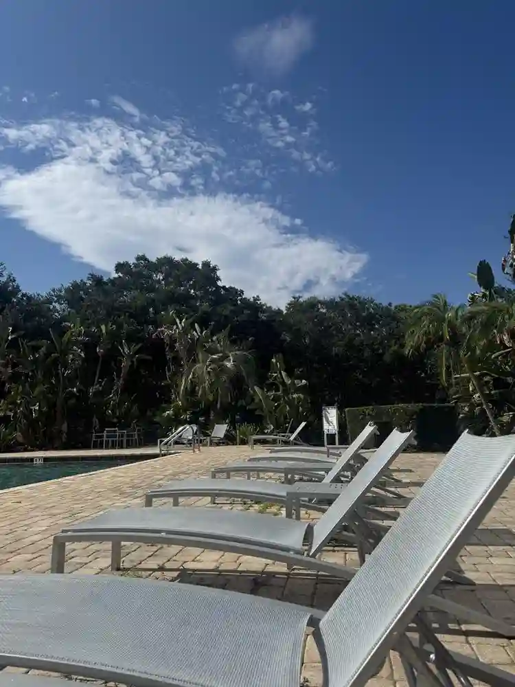 Room for Rent | November 1 | House