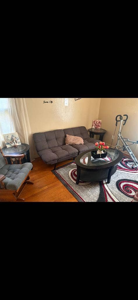 Looking for a roommate