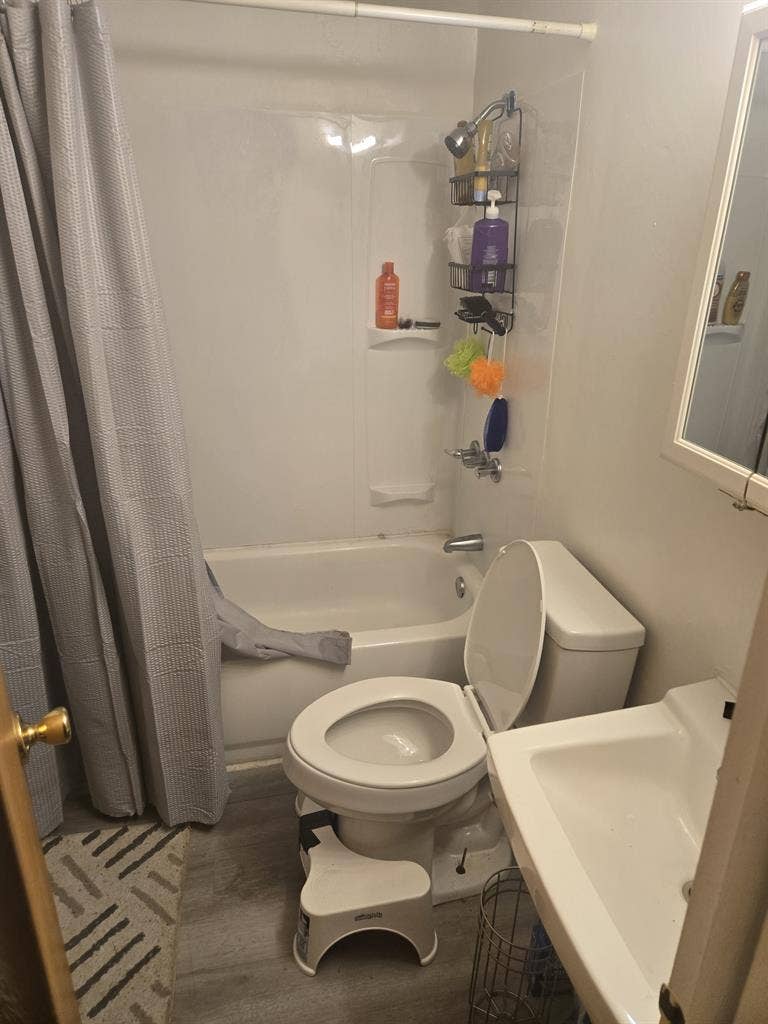 Roomate for large apartment