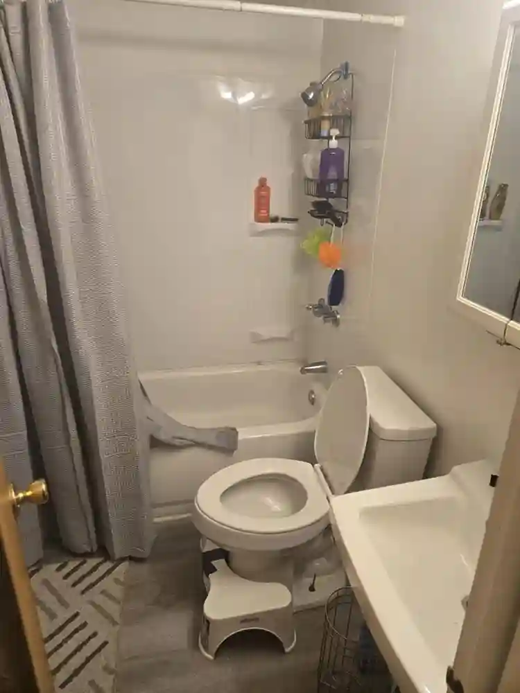Roomate for large apartment
