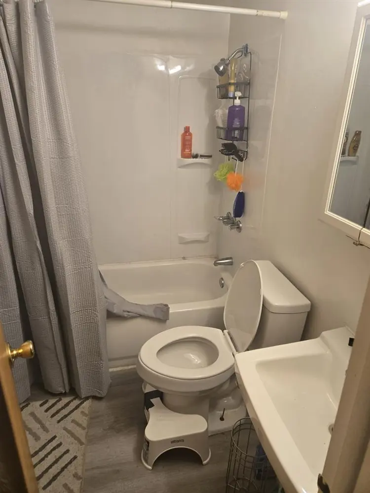 Roomate for large apartment