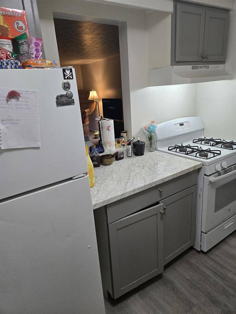 Roomate for large apartment