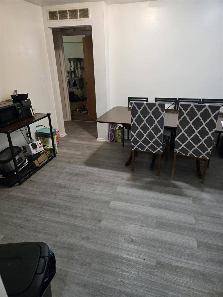 Roomate for large apartment