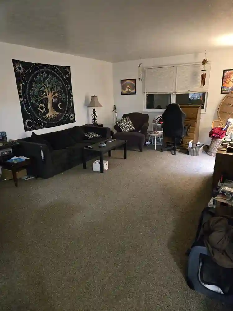 Roomate for large apartment