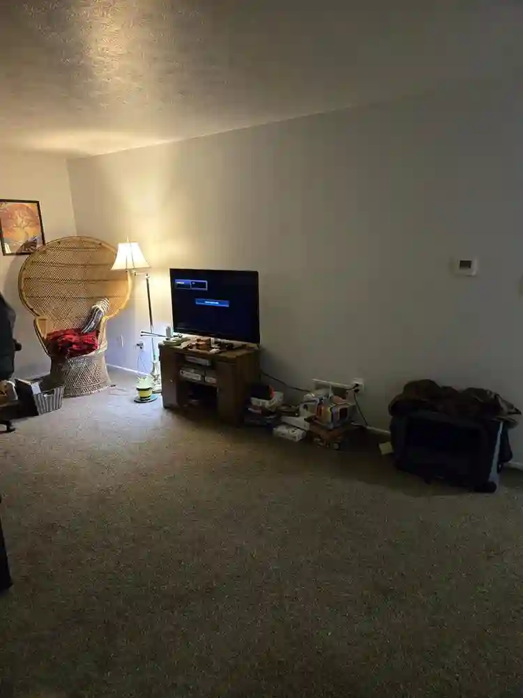 Roomate for large apartment