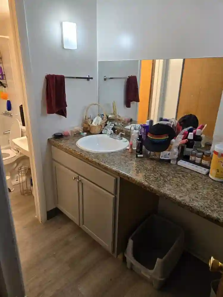Roomate for large apartment