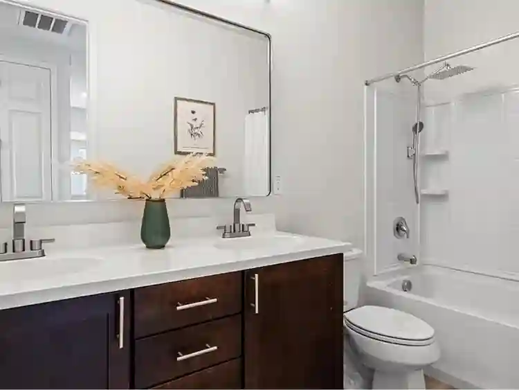 Looking for tenants