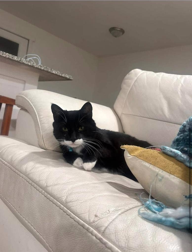 Looking for roommate!