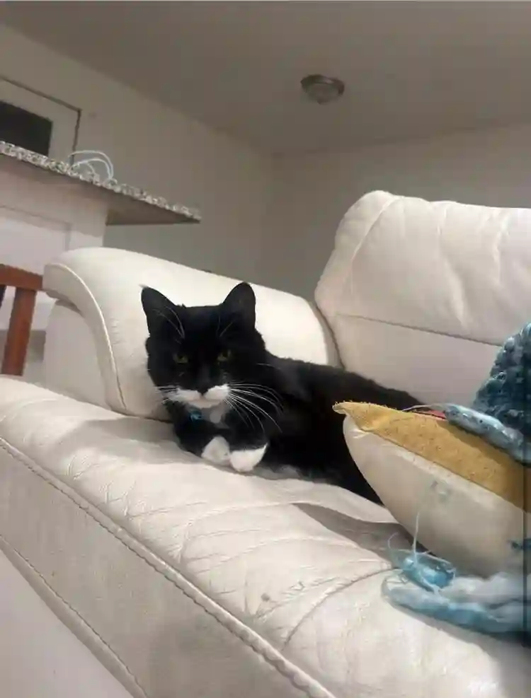 Looking for roommate!